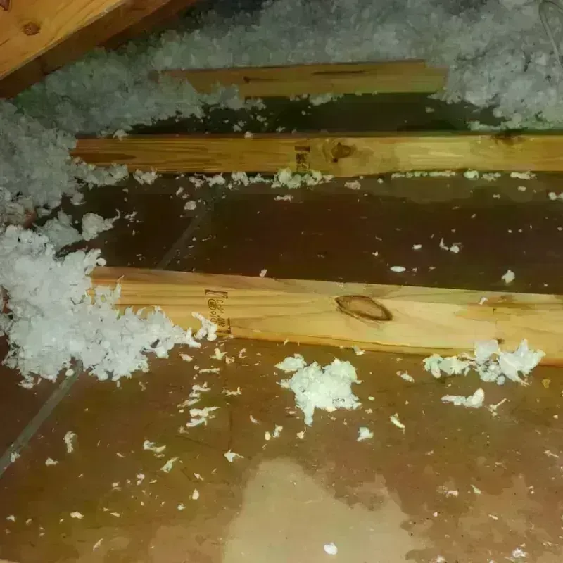 Attic Water Damage in Rock Port, MO