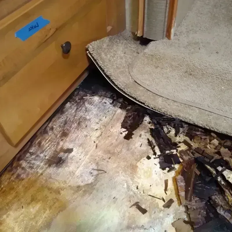 Best Wood Floor Water Damage Service in Rock Port, MO